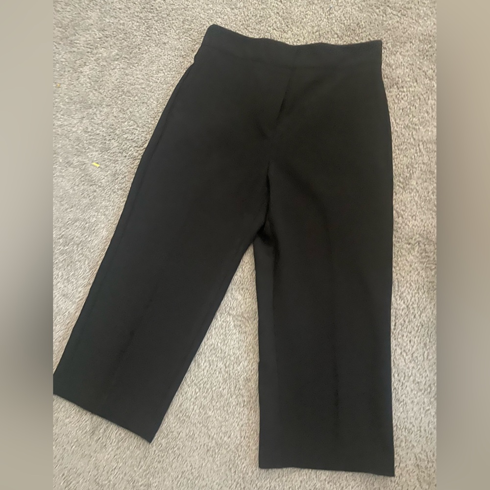 Anne Taylor Work Pants (Size 8 Petite)